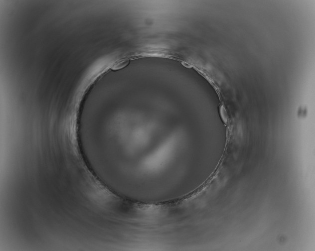 X0000102850293200808251209