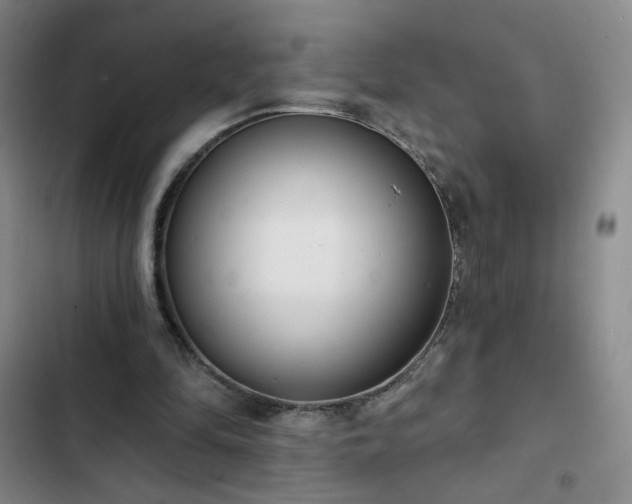 X0000102850294200808251209