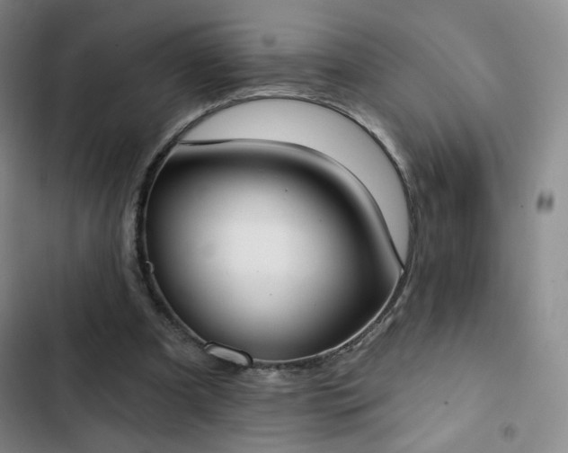 X0000102850297200808251209