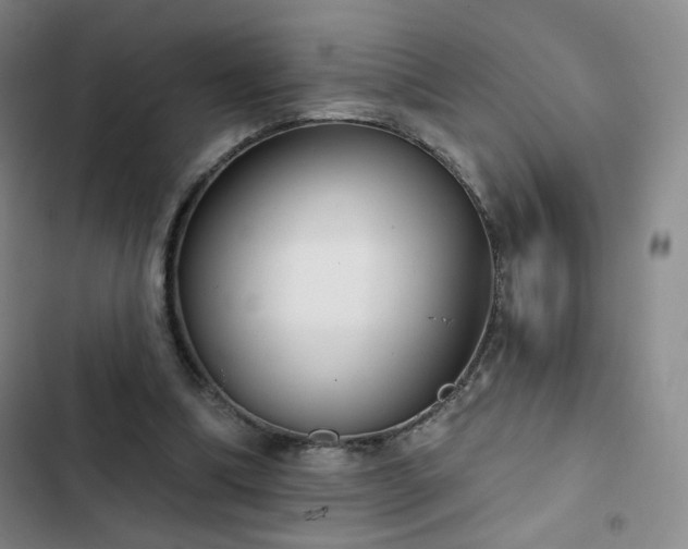 X0000102850298200808251209