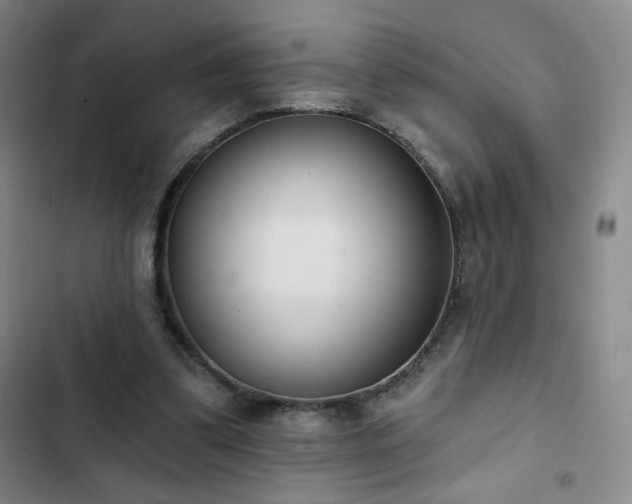 X0000102850299200808251209