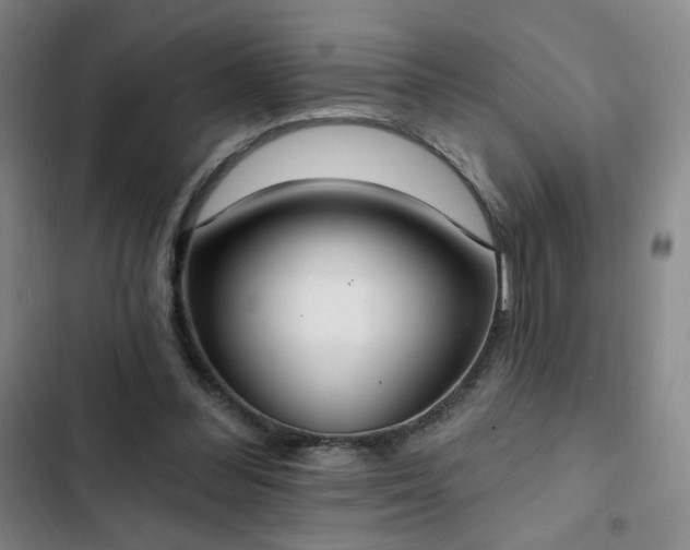 X0000102850300200808251209