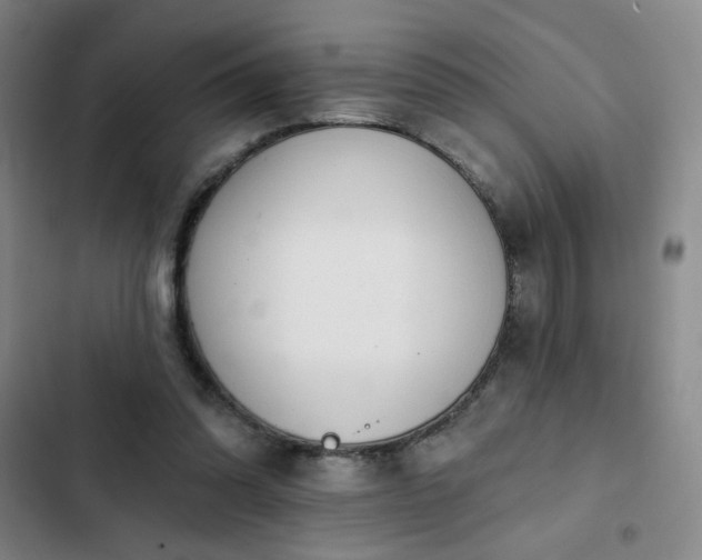 X0000102850302200808251209