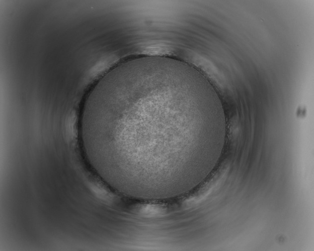 X0000102850303200808251209