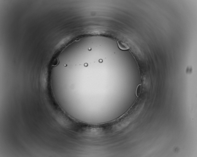 X0000102850304200808251209