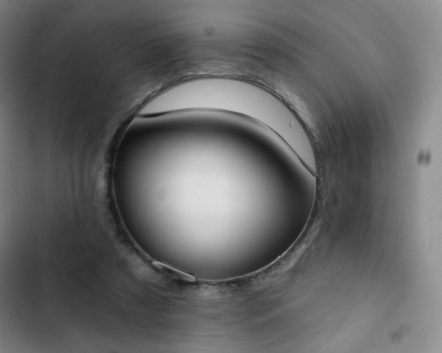 X0000102850305200808251209