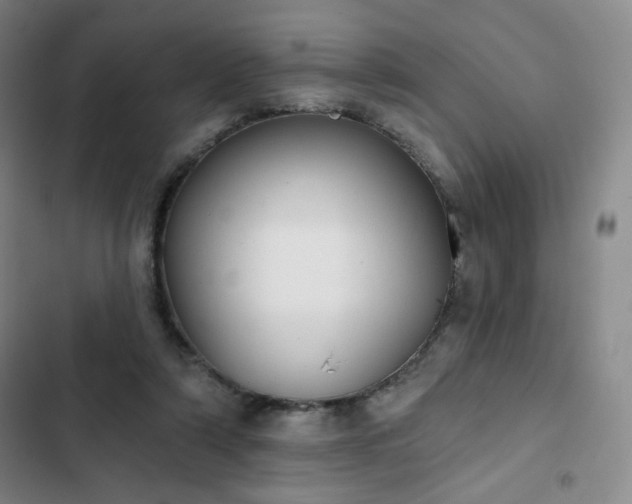 X0000102850306200808251209