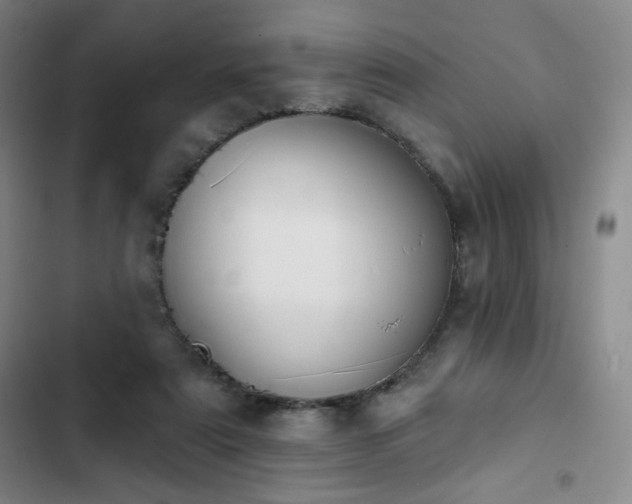 X0000102850307200808251209