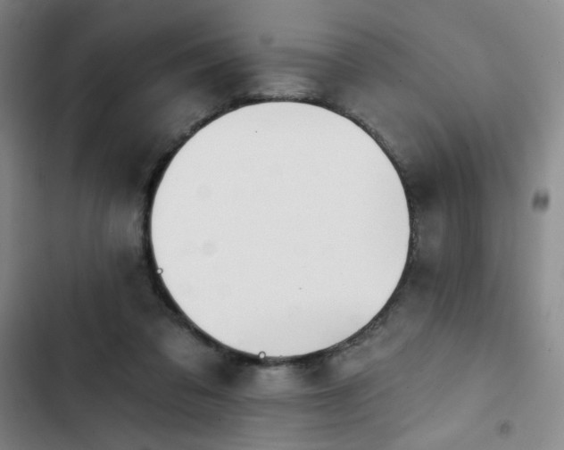 X0000102850309200808251209