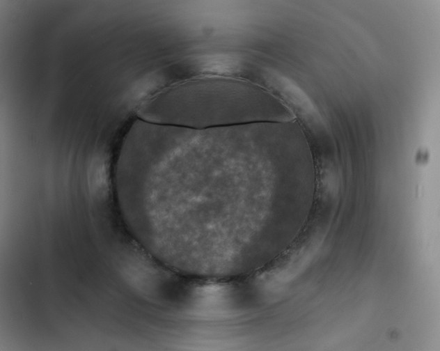 X0000102850312200808251209