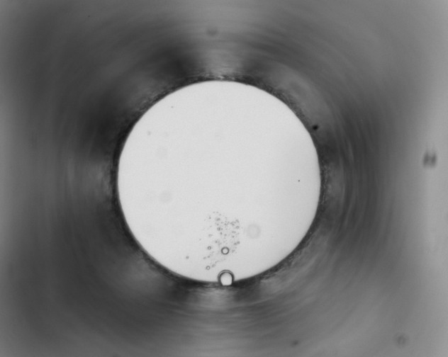 X0000102850313200808251209