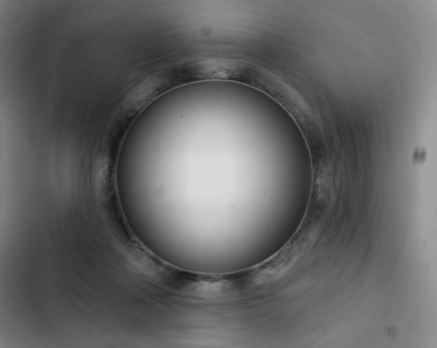X0000102850314200808251209