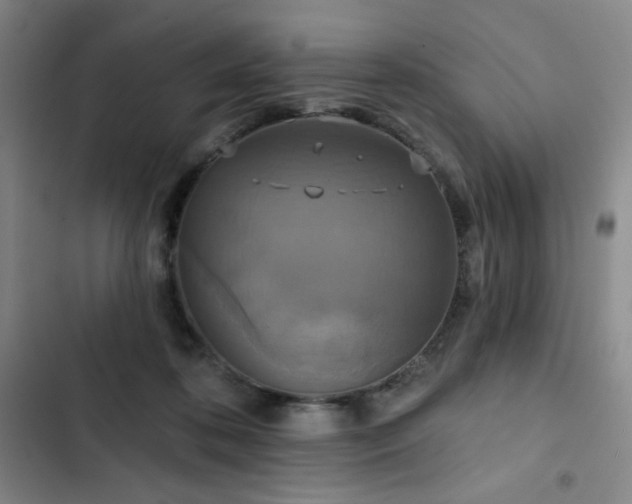 X0000102850316200808251209