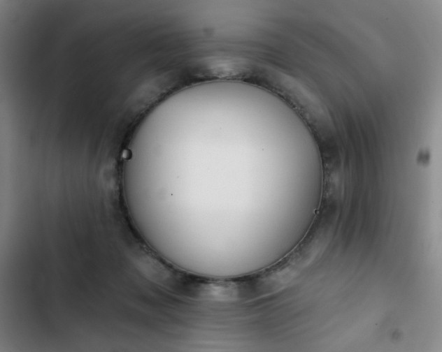 X0000102850317200808251209