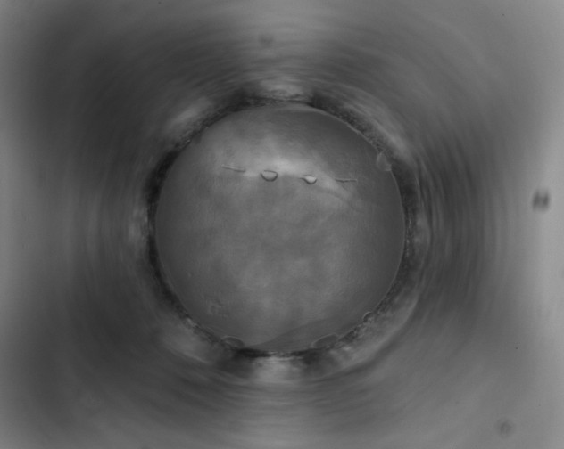 X0000102850320200808251209