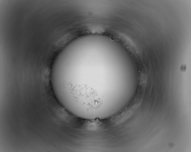 X0000102850321200808251209