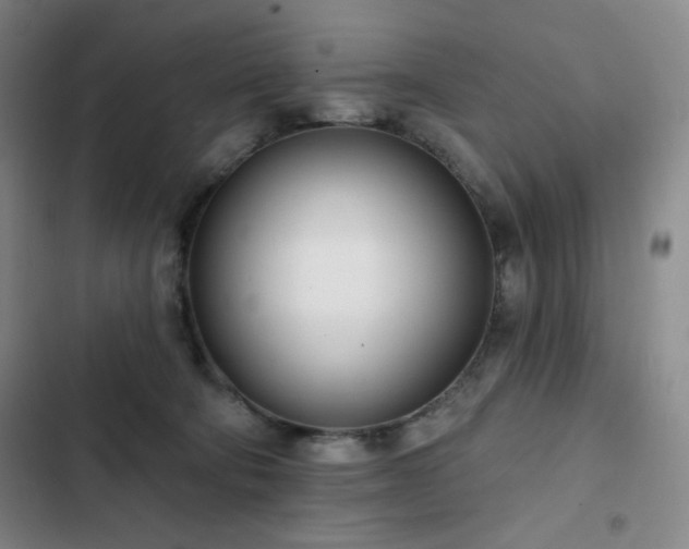 X0000102850322200808251209
