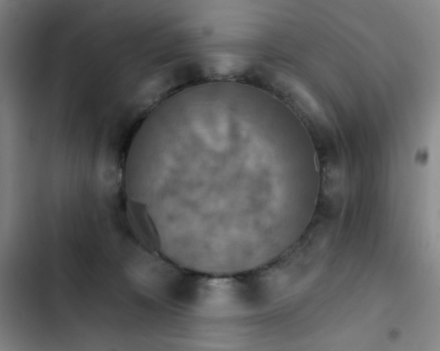 X0000102850324200808251208