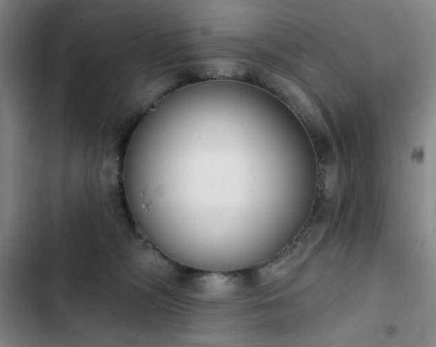 X0000102850326200808251208