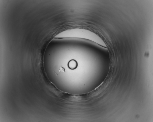 X0000102850328200808251208