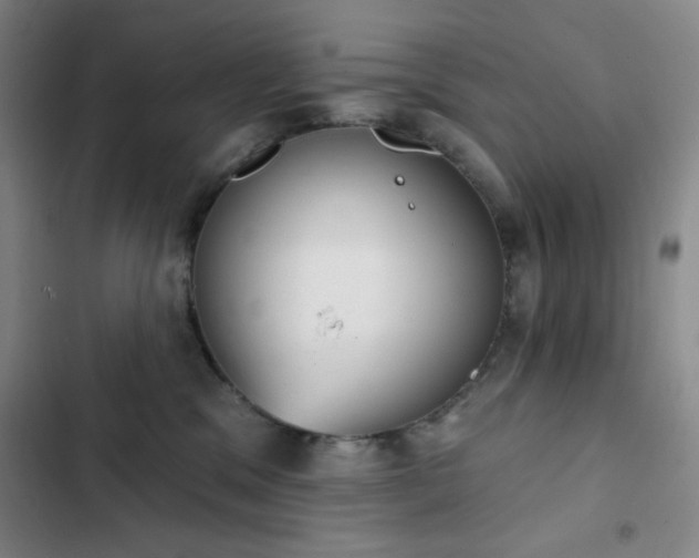 X0000102850329200808251208