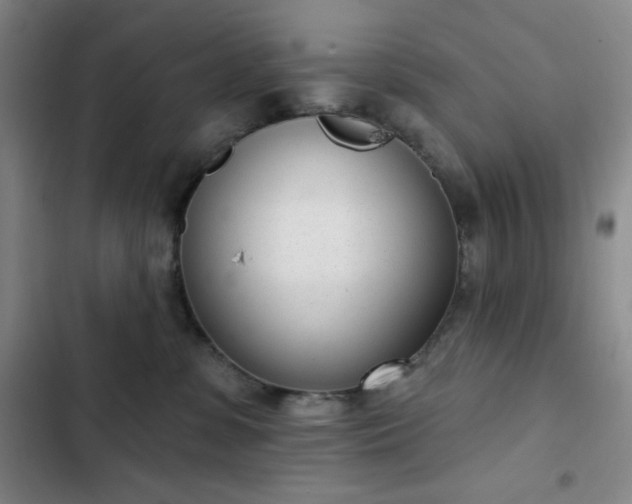X0000102850331200808251208