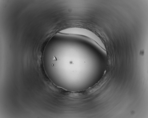 X0000102850332200808251208