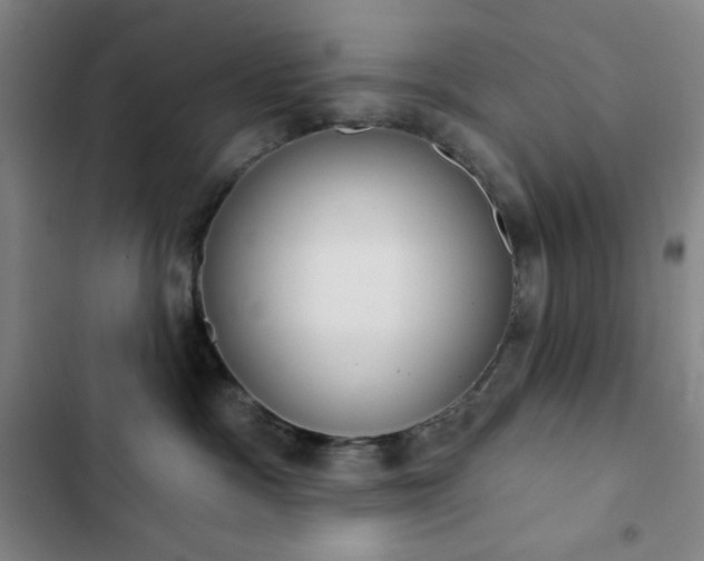X0000102850333200808251208