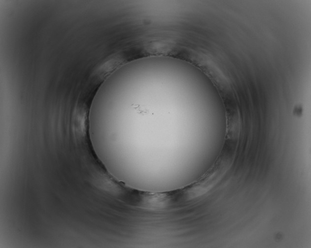 X0000102850334200808251208