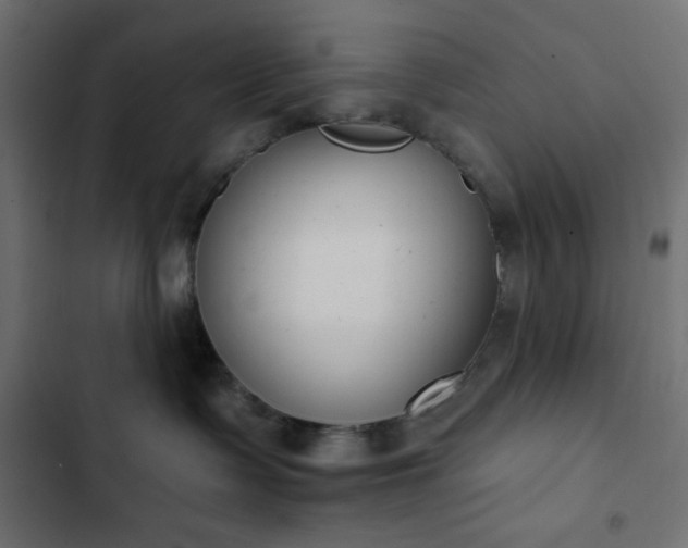 X0000102850335200808251208