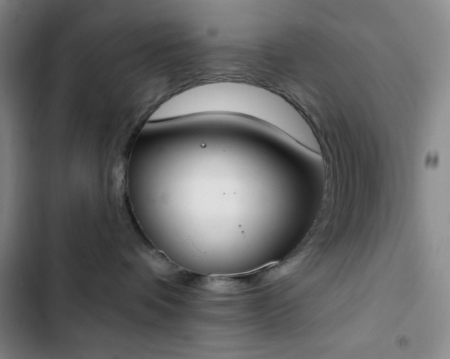 X0000102850336200808251208