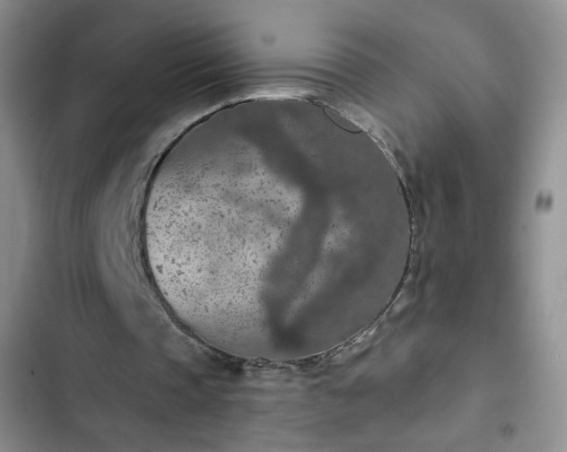 X0000102850337200808251207
