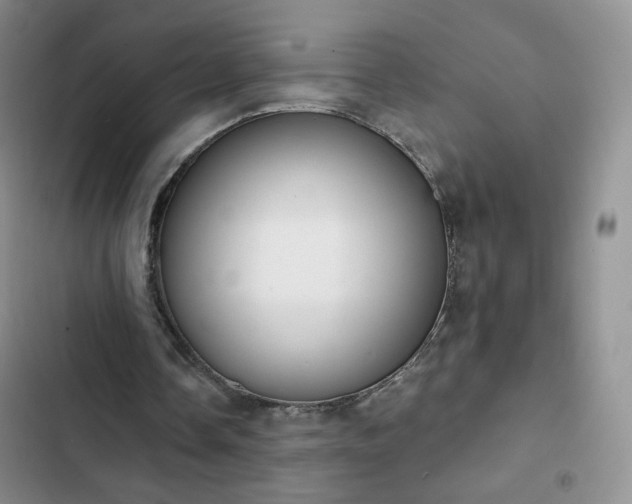 X0000102850338200808251207