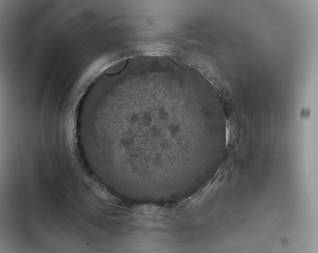 X0000102850339200808251207