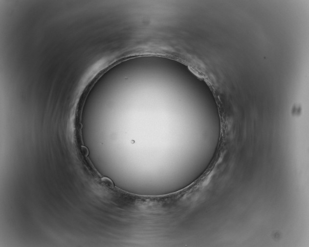 X0000102850340200808251207