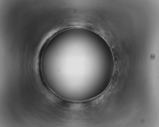 X0000102850342200808251208