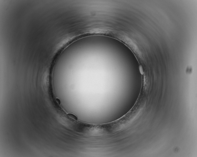 X0000102850348200808251208