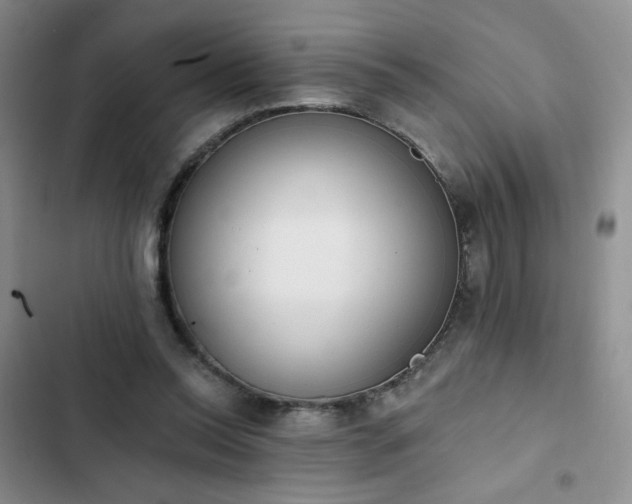 X0000102850350200808251208
