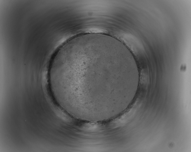 X0000102850351200808251208