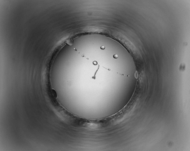 X0000102850352200808251208