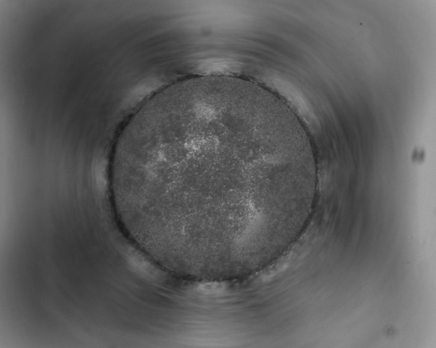 X0000102850353200808251208