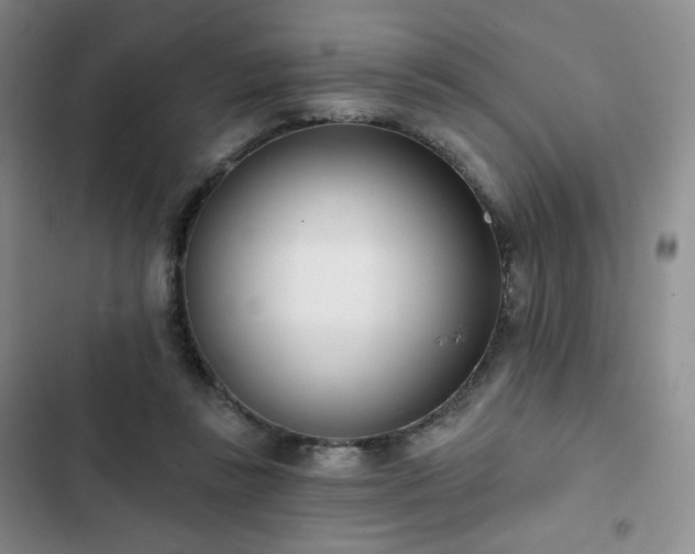 X0000102850355200808251208