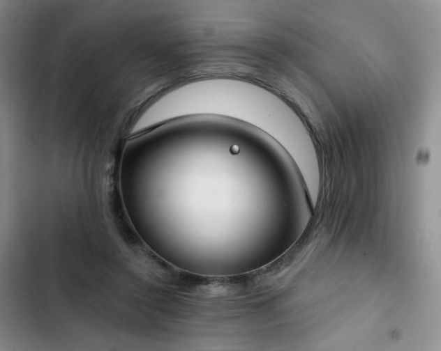 X0000102850356200808251208