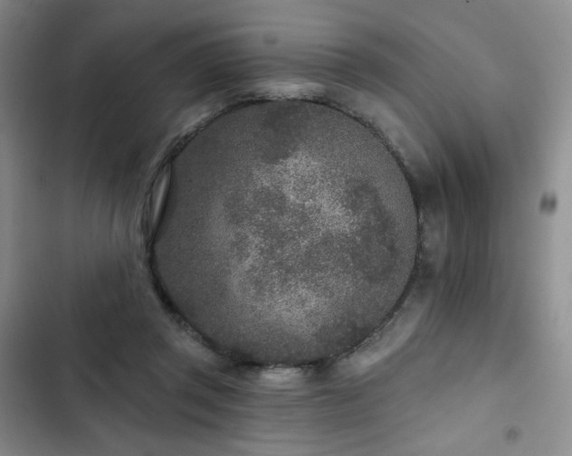 X0000102850357200808251208