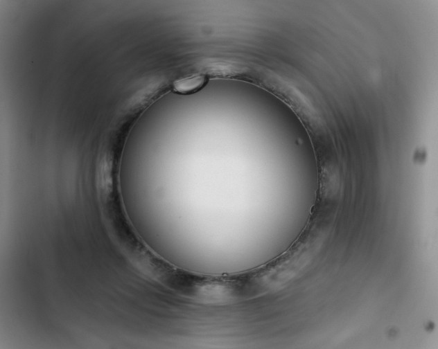 X0000102850358200808251208