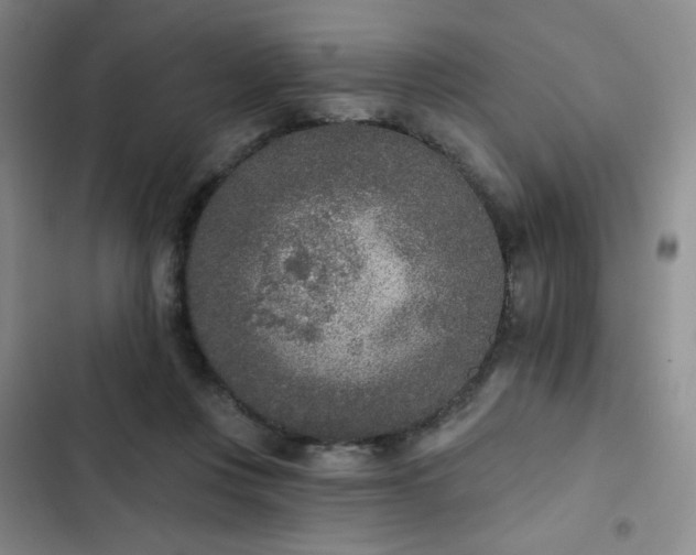 X0000102850359200808251208