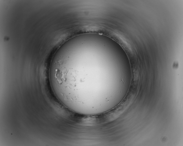 X0000102850362200808251208