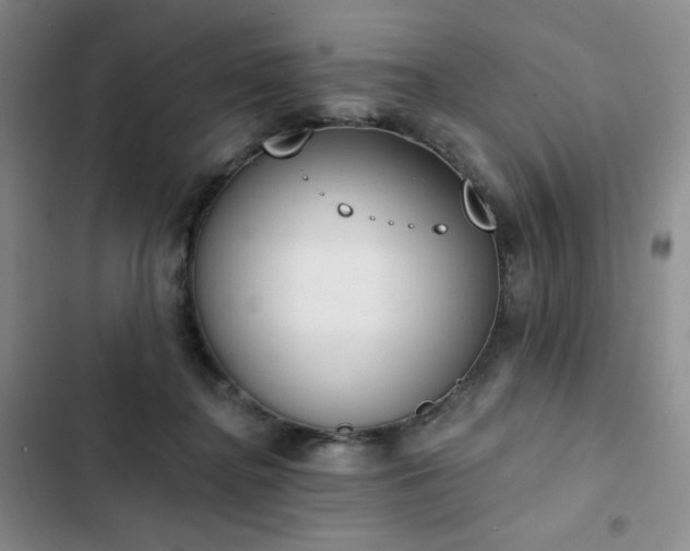 X0000102850364200808251208