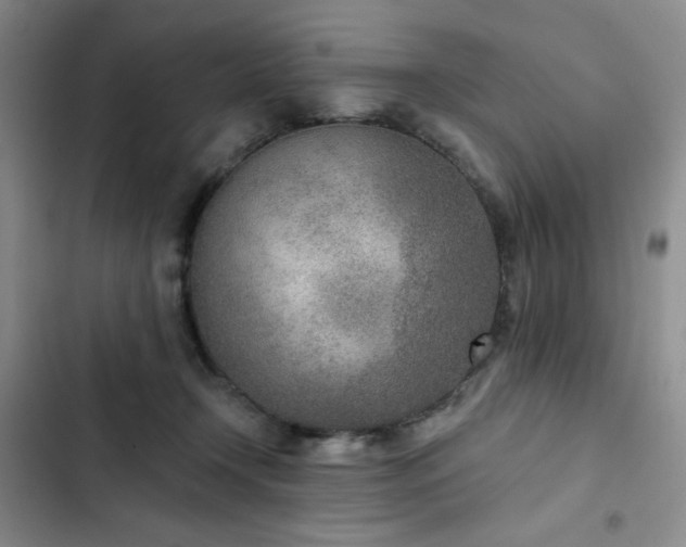 X0000102850366200808251208