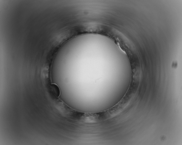 X0000102850368200808251208